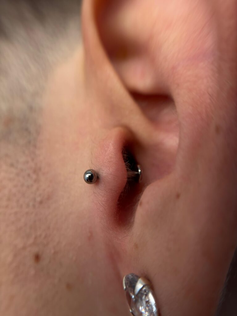 WhatsApp Image 2025-01-16 at 16.25.16