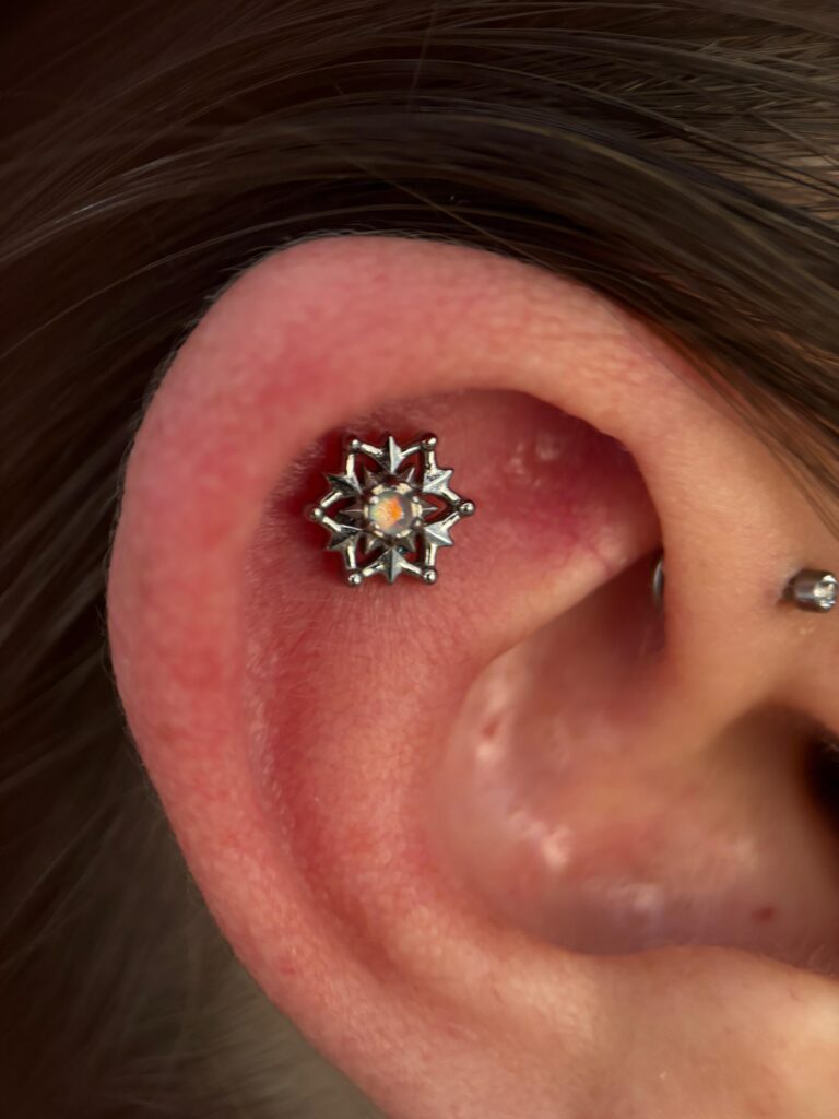 WhatsApp Image 2025-01-16 at 16.28.13