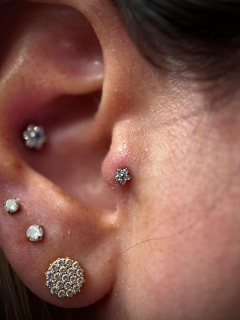 WhatsApp Image 2025-01-16 at 16.33.04