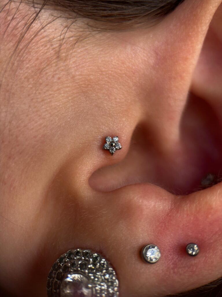 WhatsApp Image 2025-01-16 at 16.33.20