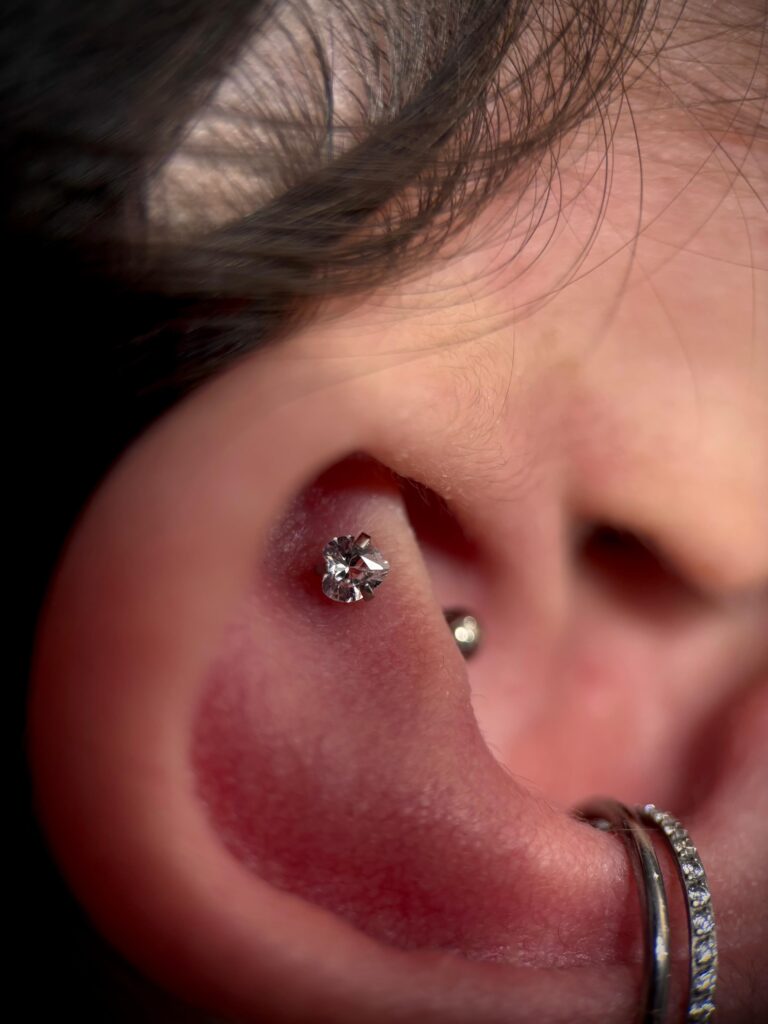 WhatsApp Image 2025-12-19 at 09.11.16